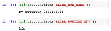 Access proprietary environment variables